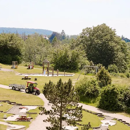 540, Oberharz, Mit Schwimmbad Und Sauna